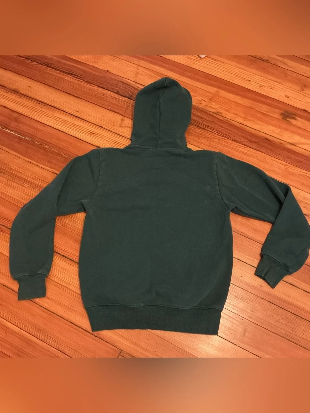 North Face Thick Hoodie